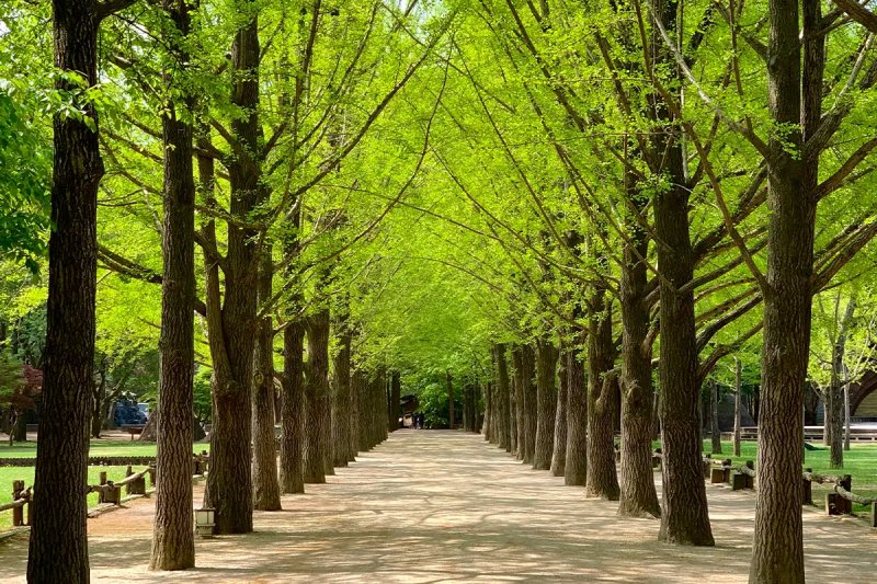 img-korea-3