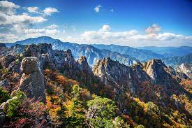 img-korea-4