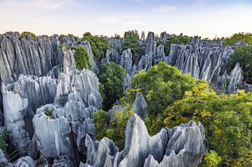 img-china-stoneforest