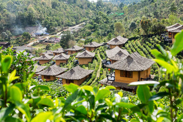 img-thailand-banrakthai