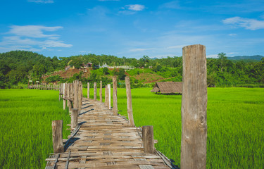 img-thailand-sutongpaebrige